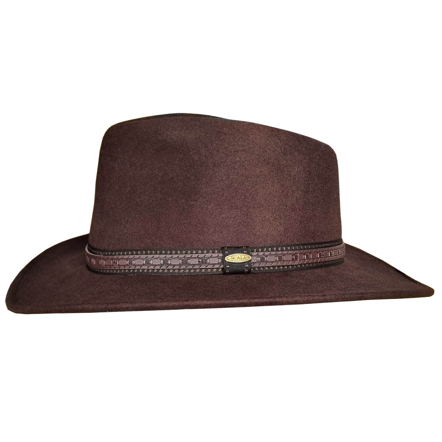 Cowboy Hat, Brown, Western Hat, Side View